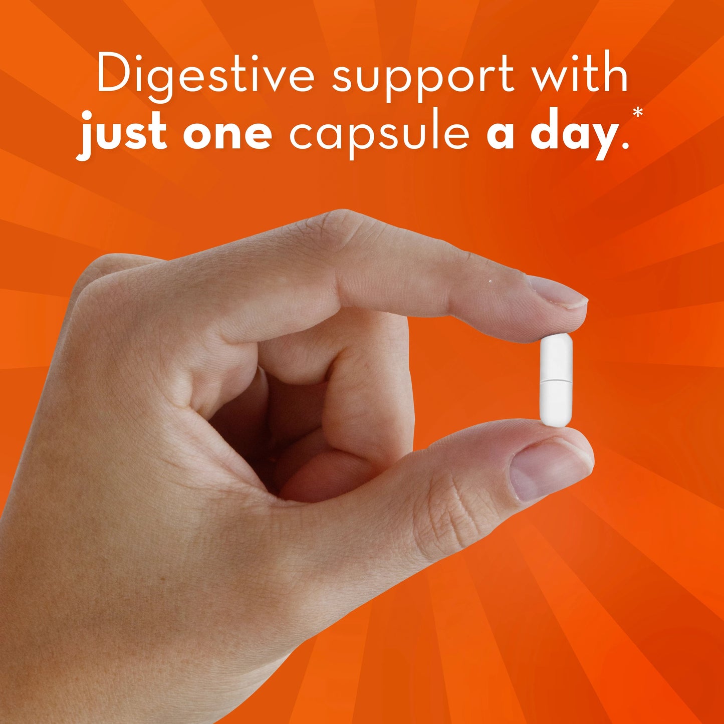Align 24/7 Digestive Support* Probiotic Supplement