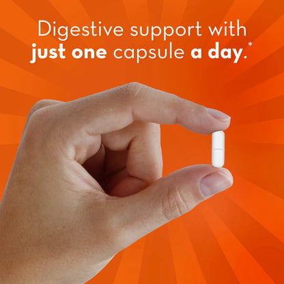 Align 24/7 Digestive Support* Probiotic Supplement